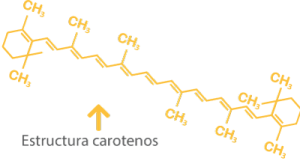 estrutura-carotenos