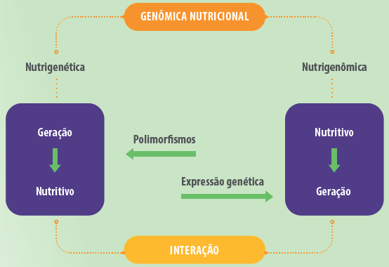 genomica-nutricional