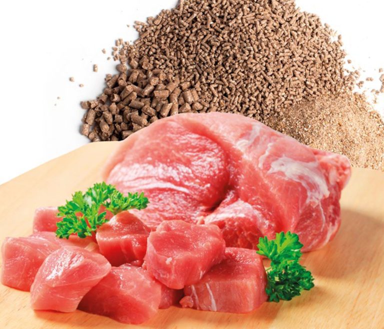 Importancia de la dieta para producir carne de cerdo aceptable