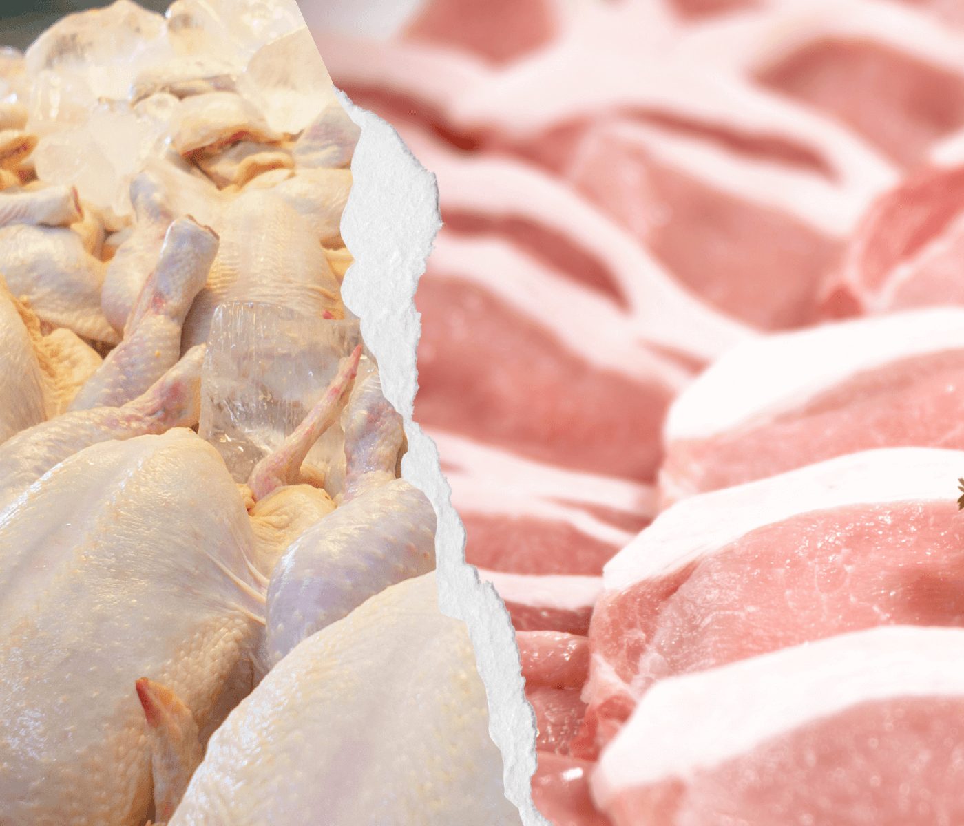 Carne suína e de frango batem novos recordes no mercado em 2022