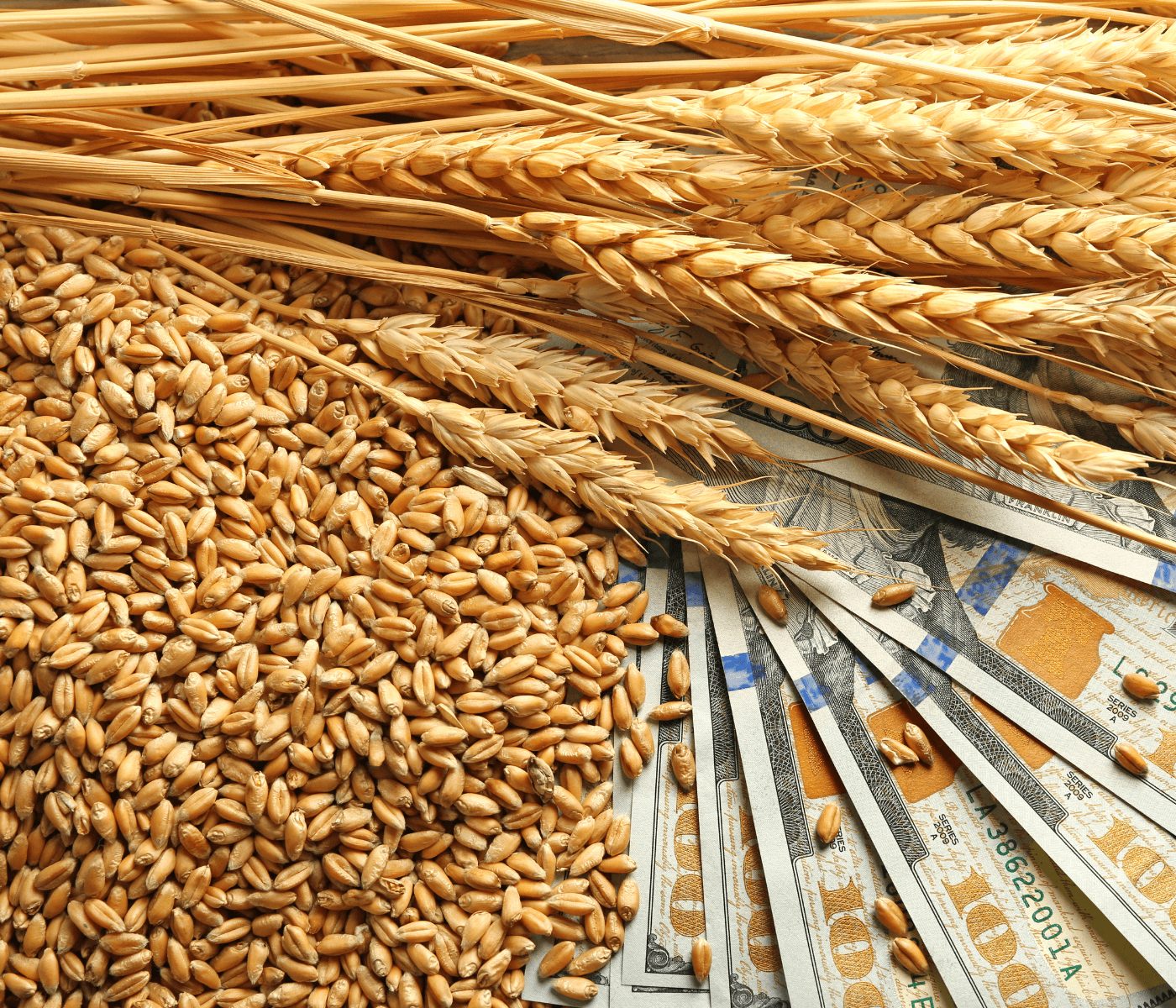 Exportações de grãos pela Ucrânia deve cair em 2023/24 pela redução de área