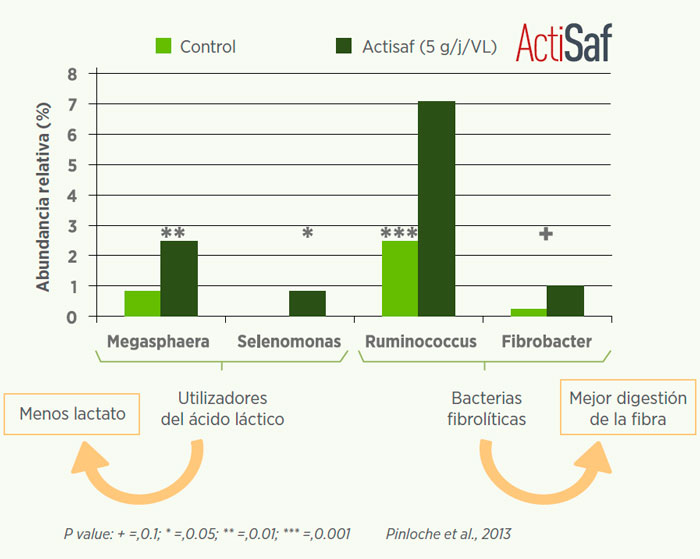 grafico-2-efecto-perfil-bacteriano-rumen-levadura-sc47