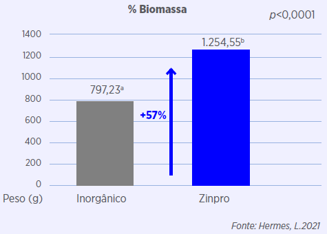 nutricao-micromineral-biomassa