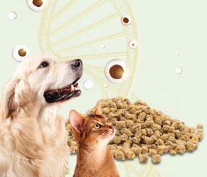 Nutracêuticos na dieta de cães e gatos