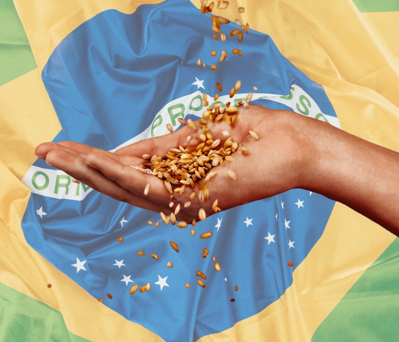 Brasil tem a maior safra de trigo da história em 2022