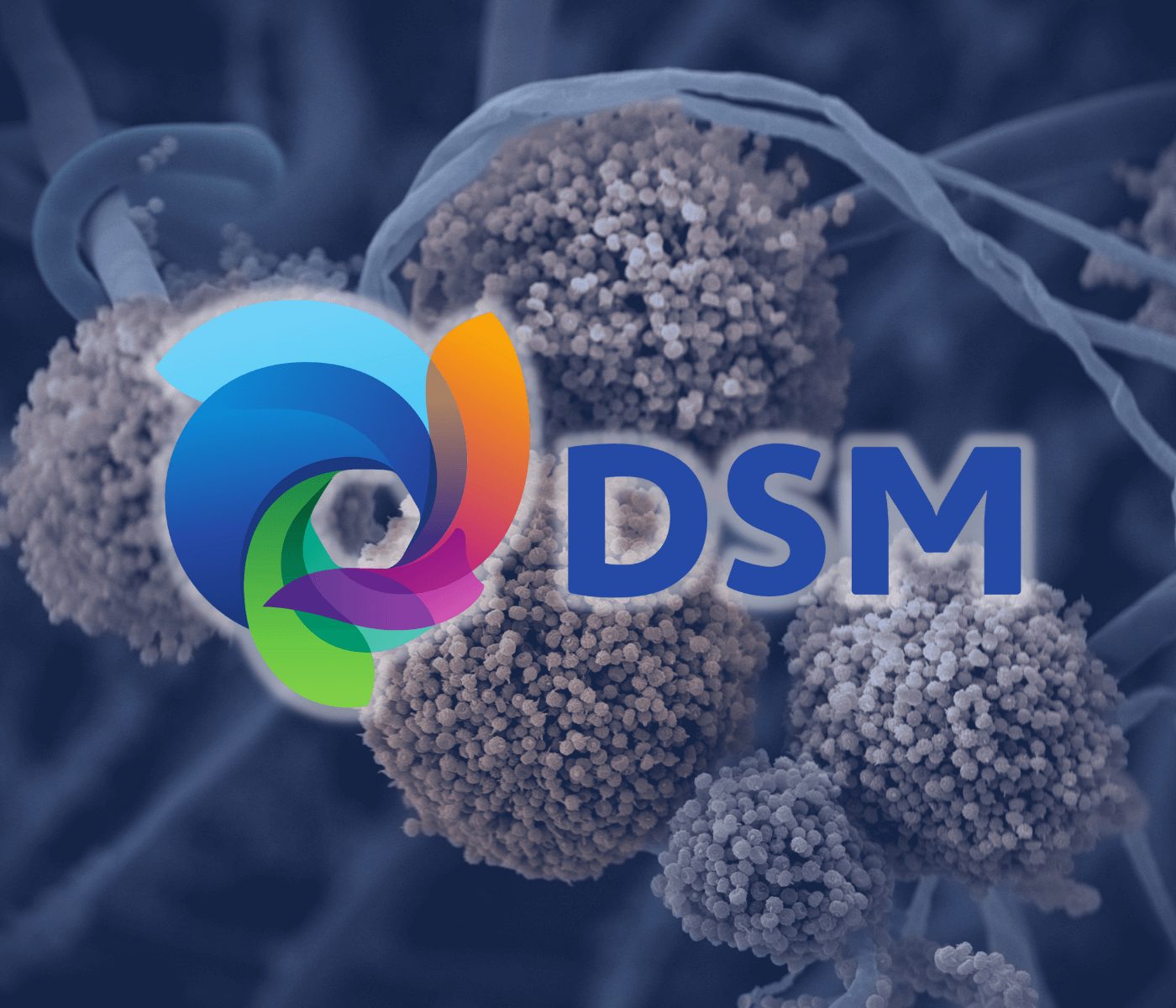 DSM comemora lançamento do Mycofix 5.0 na América Latina