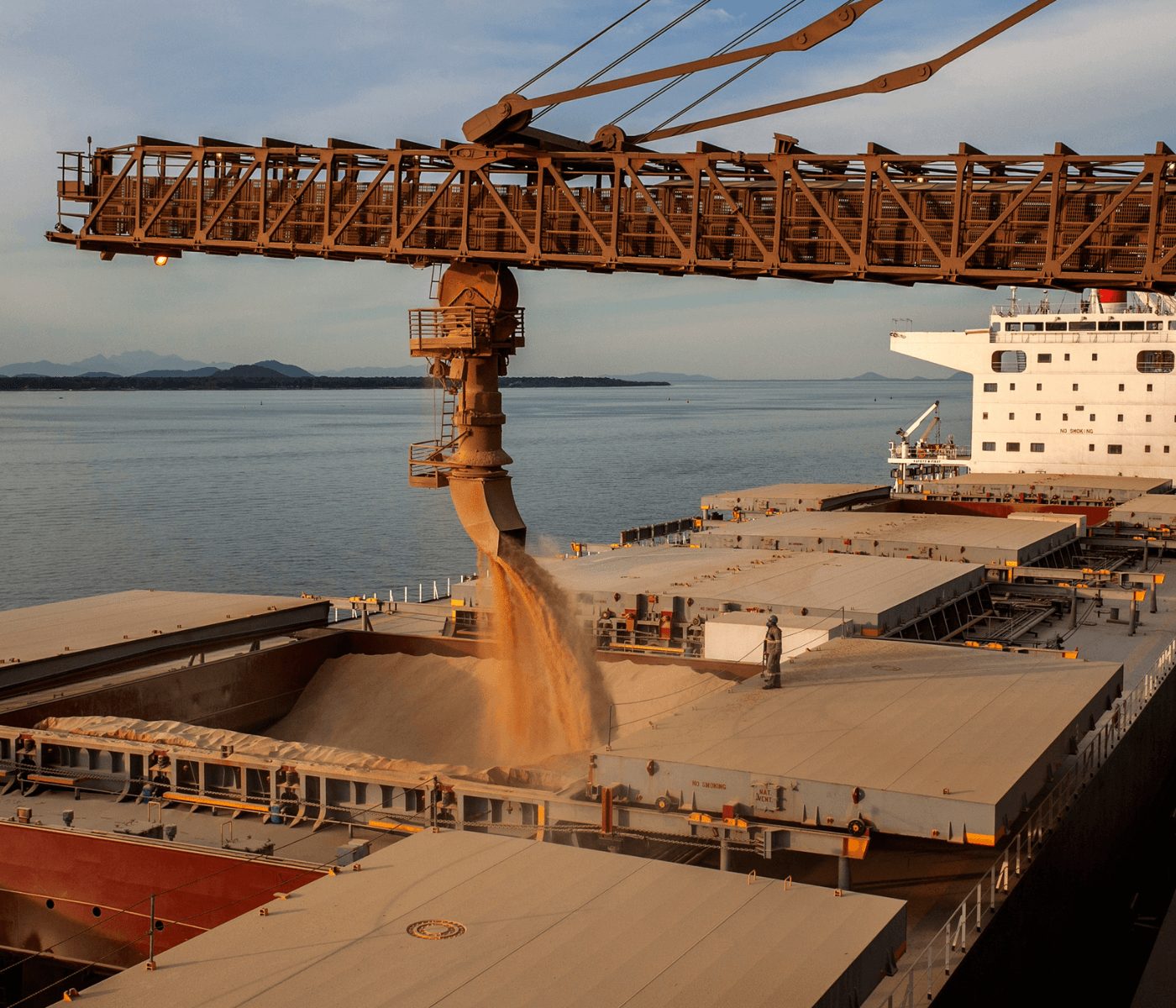 Porto de Paranaguá espera embarcar 7 milhões de toneladas em grãos e farelos