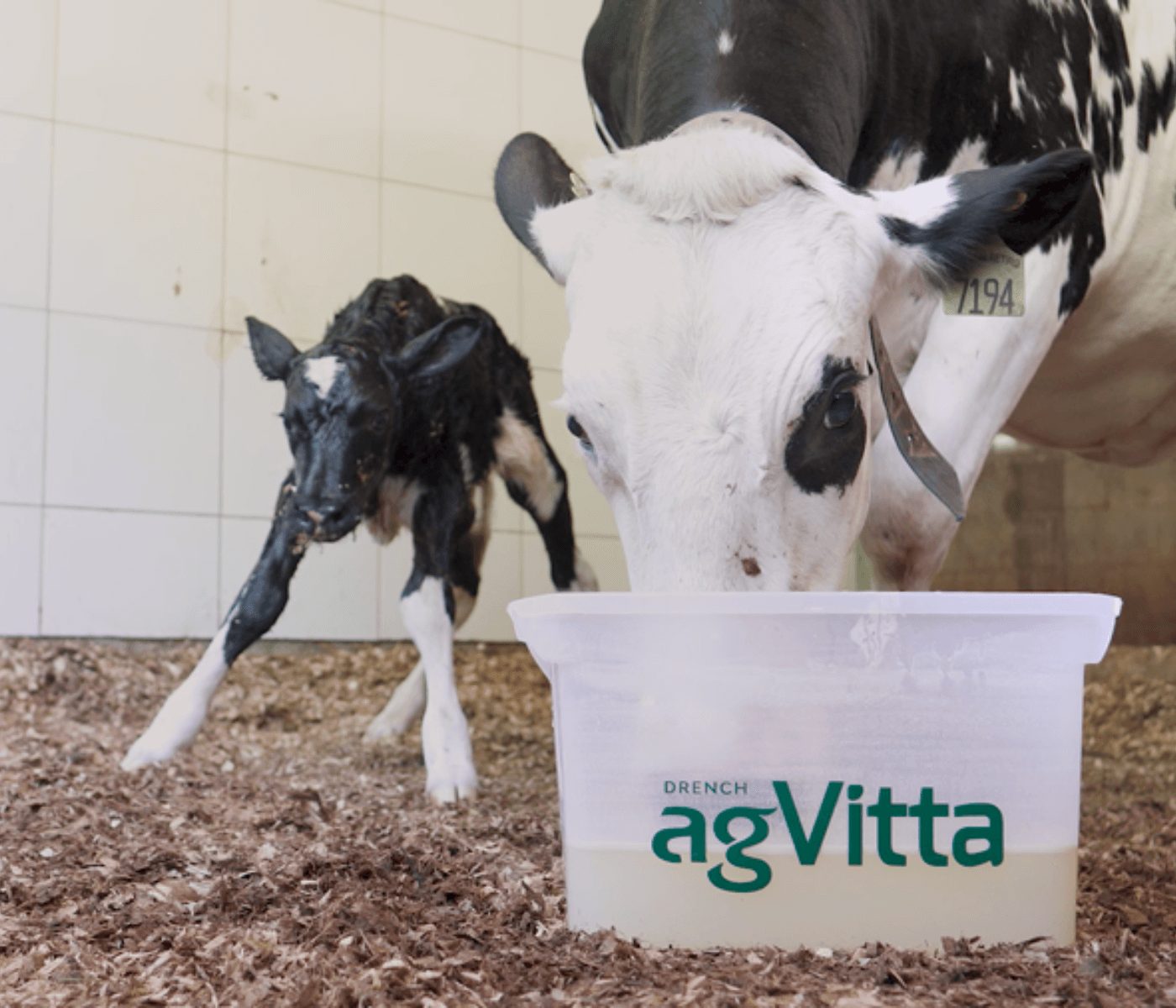 Agroceres Multimix leva equipe de bovinos de leite ao Show Copercampos