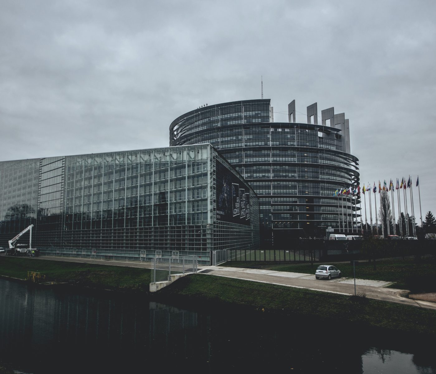 La UE autoriza nuevas sustancias como aditivos de piensos