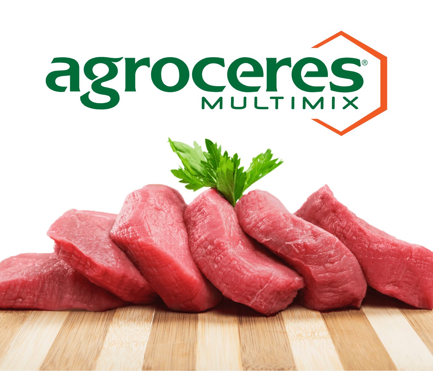 Agroceres Multimix aborda qualidade de carne em curso