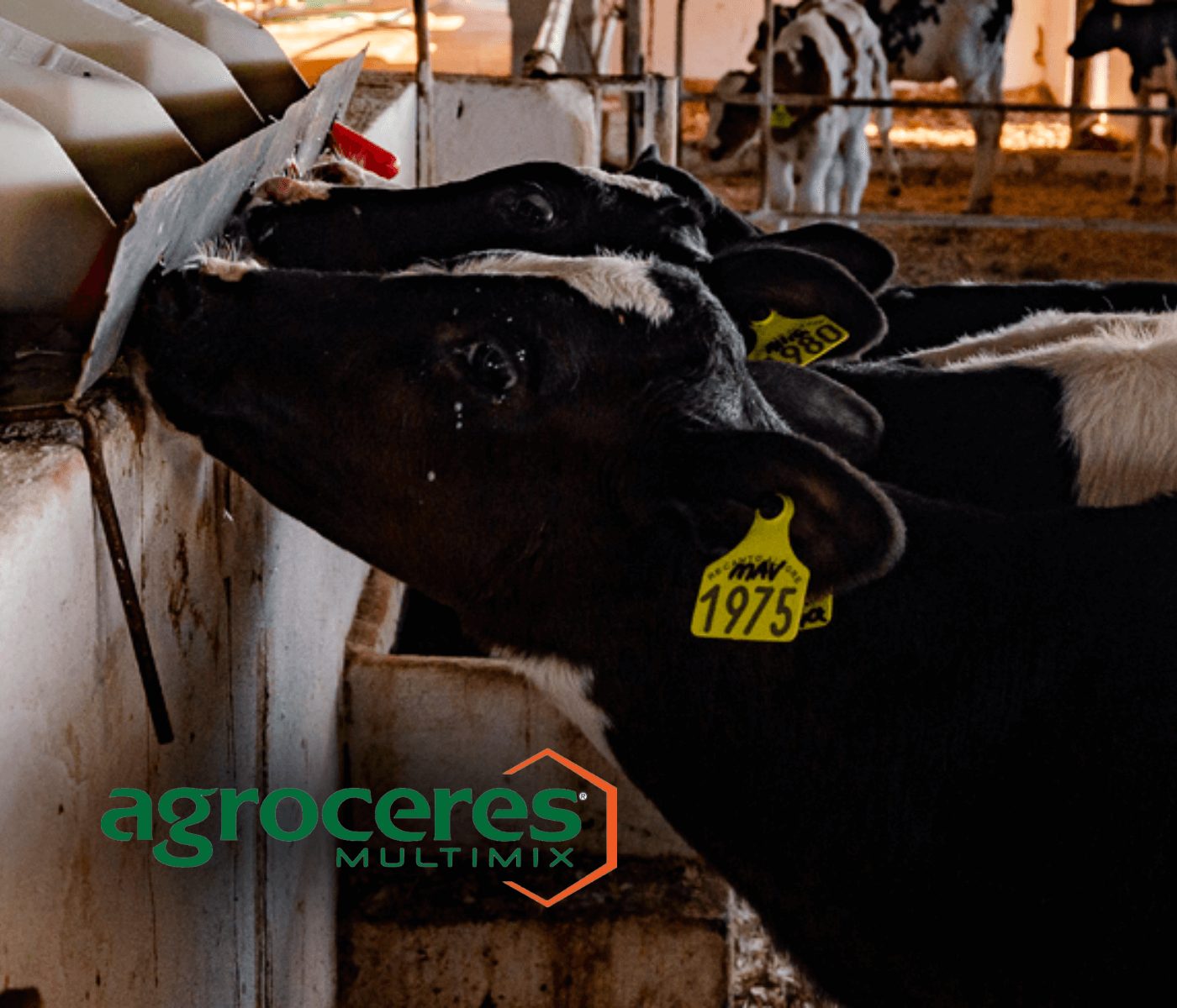 Agroceres leva tecnologias em bovinos de leite para Expodireto Cotrijal