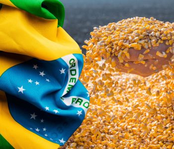 brasil-pode-exportar-mais-milho