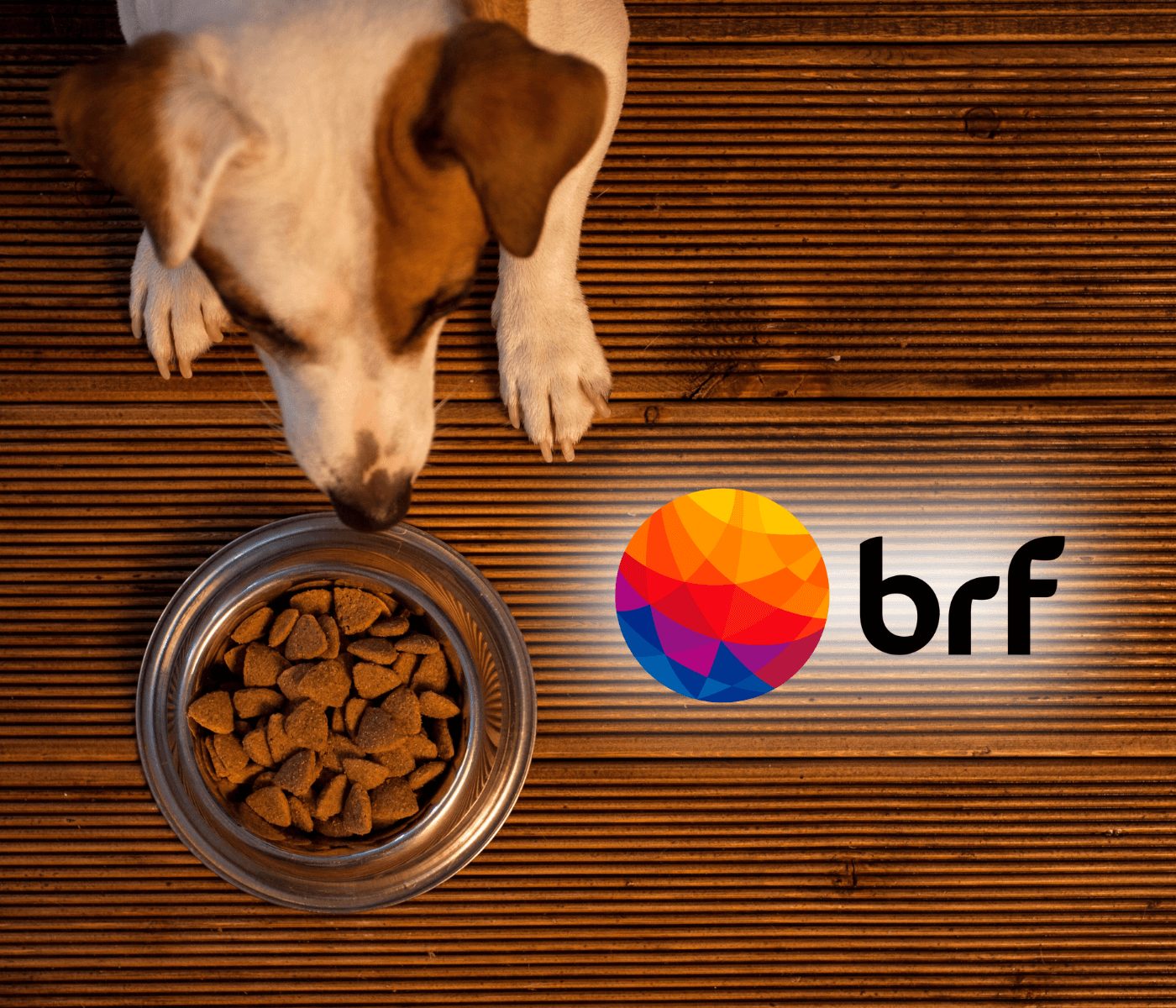 BRF pretende vender seu segmento de pet food