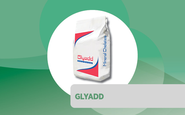 GLYADD®: a reliable source of organic minerals