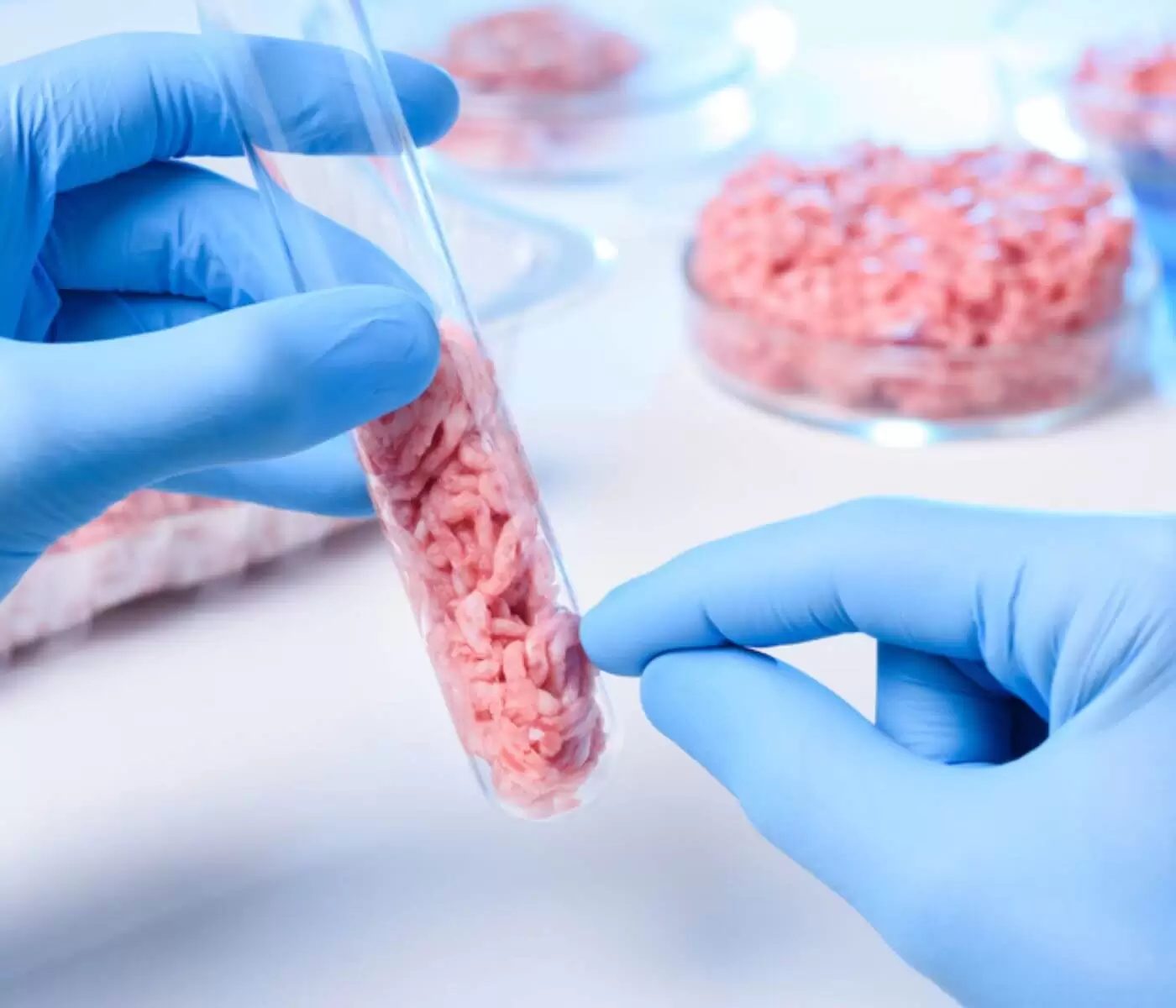 Italy says NO to lab-grown meat and synthetic food