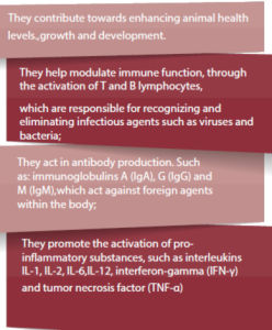 functional amino acids