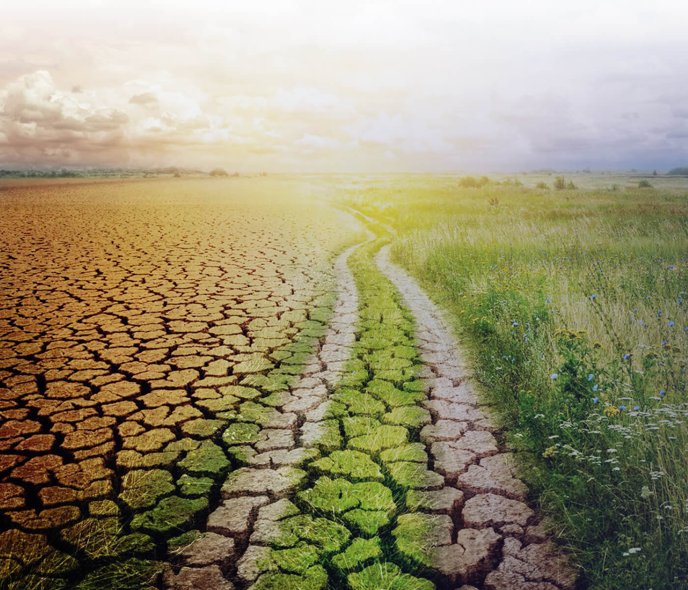 Materias primas Mayo 2023: La sequía en España provoca retención