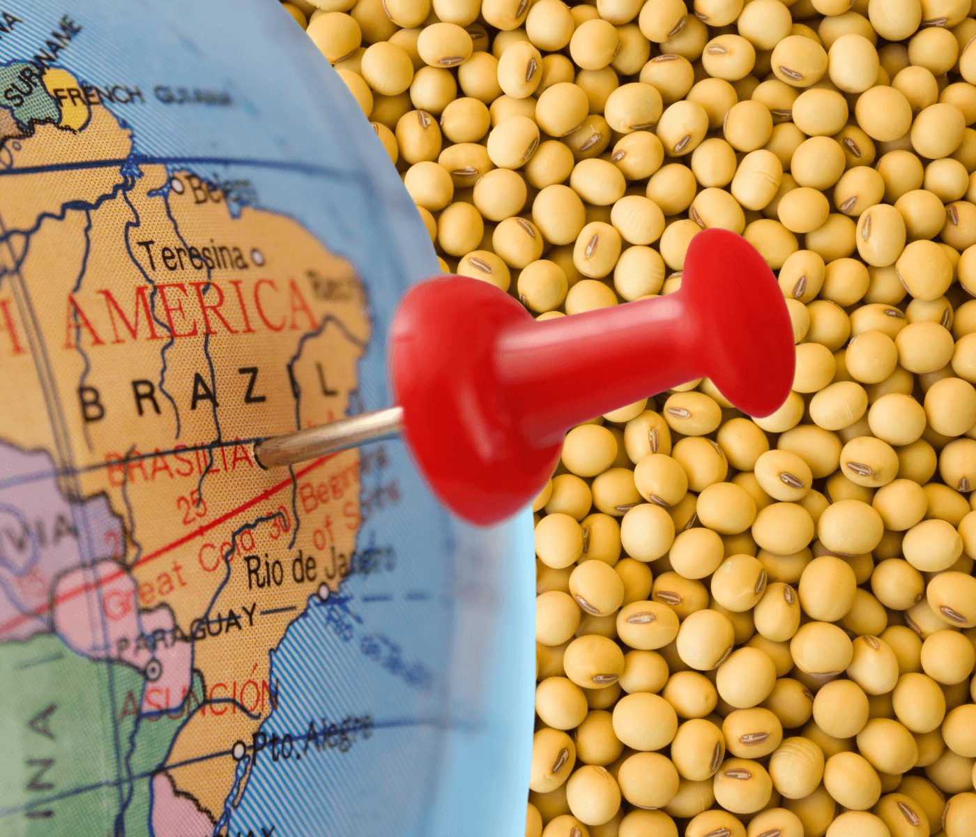 Soja: se reduce la estimación de cosecha en Brasil
