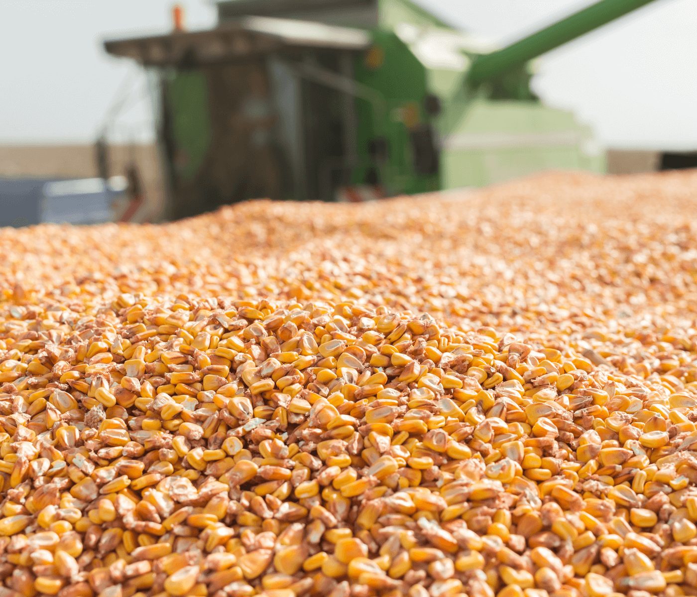 Presidente da Apex diz que Brasil pode ser o 2° maior produtor de grãos