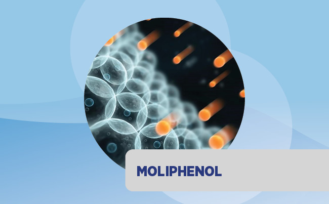 Moliphenol