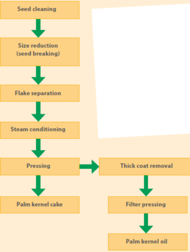 Dinner Kernel Palm kernel cake and meal(Raw material sheet)