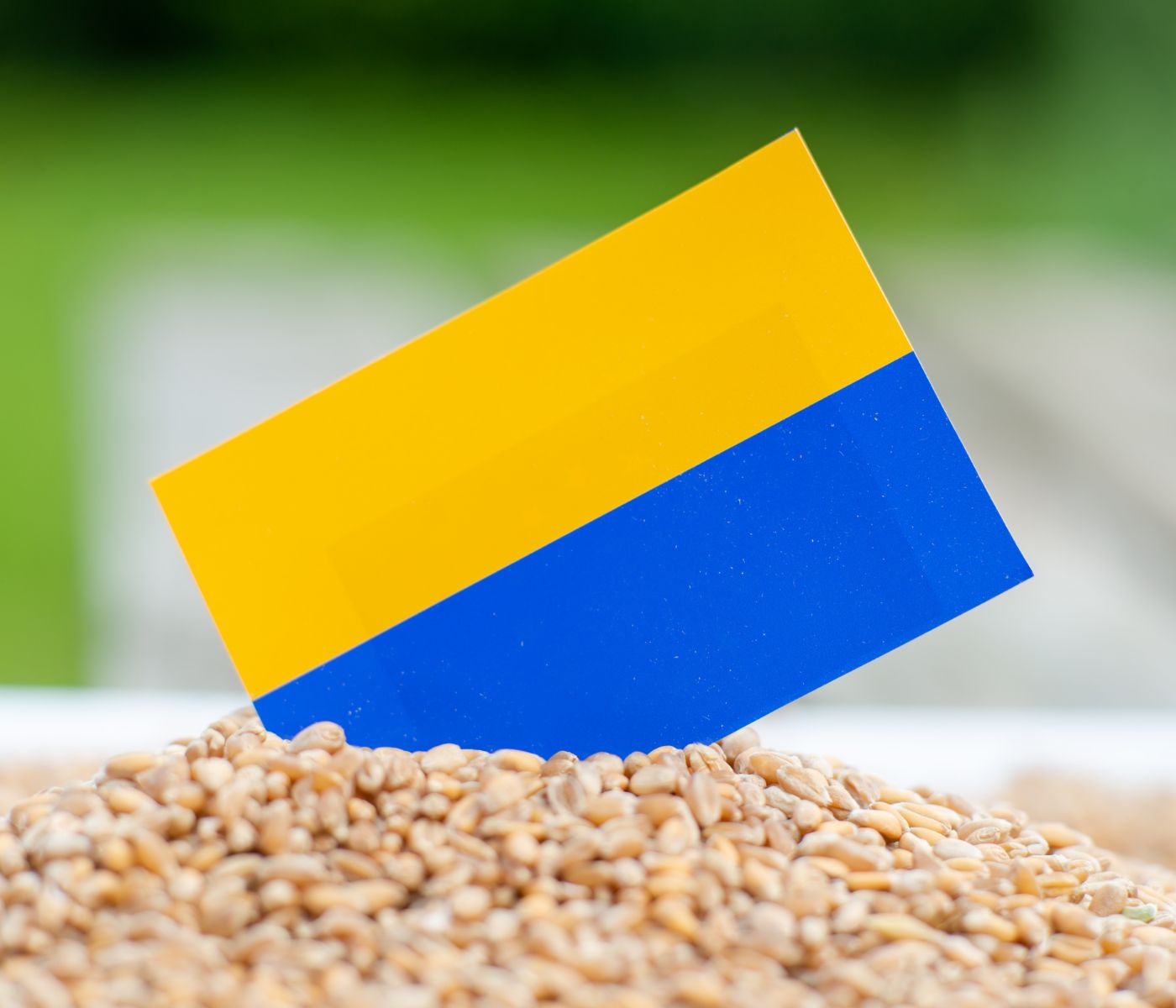 Acordo de exportação de grãos ucranianos é prorrogado por dois meses