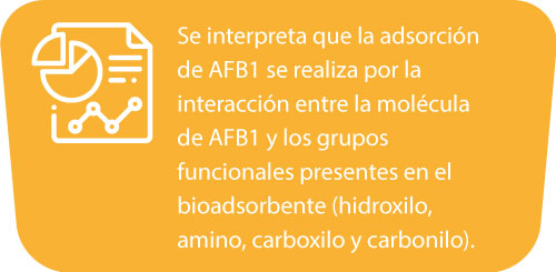 adsorcion-afb1