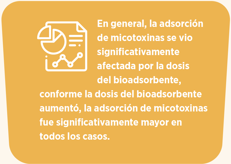 adsorcion-micotoxinas