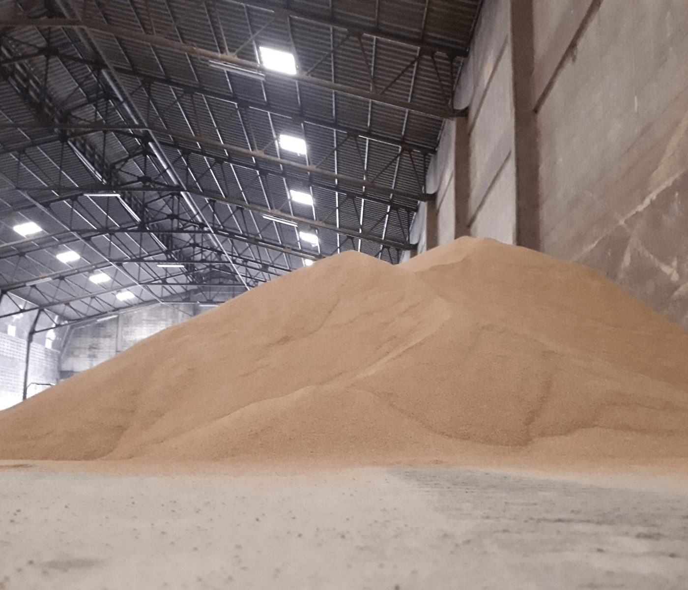 Conab aponta para aumento da demanda por armazéns de grãos