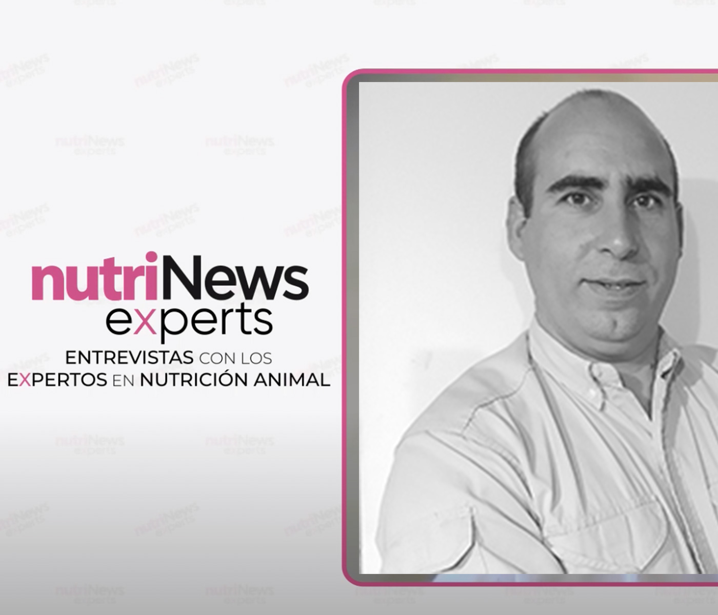 Entrevista a Bernardo Iglesias, sobre caracterización nutricional de la arveja