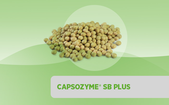 Capsozyme<sup>®</sup> SB Plus
