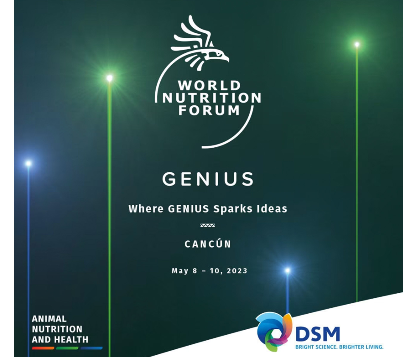 DSM celebra la innovación y la sostenibilidad en el World...