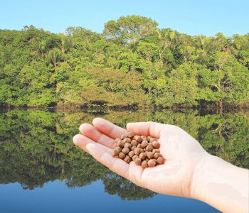 amazonas-pode-produzir-racao-organica-para-piscicultura