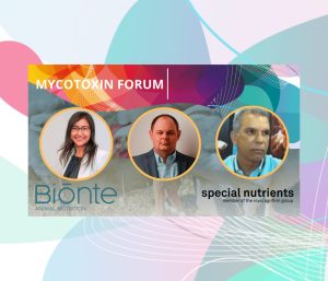 Mycotoxin Forum será uma das estrelas do LPN Congress 2023