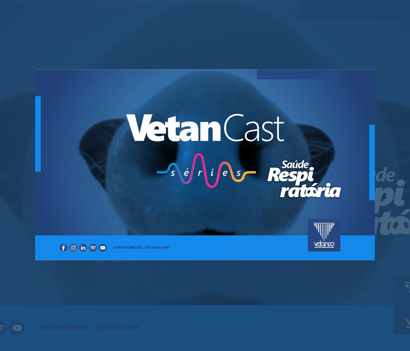 Todos os episódios do VetanCast Séries Saúde Respiratória estão no ar!