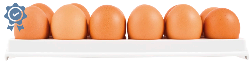 producción huevos