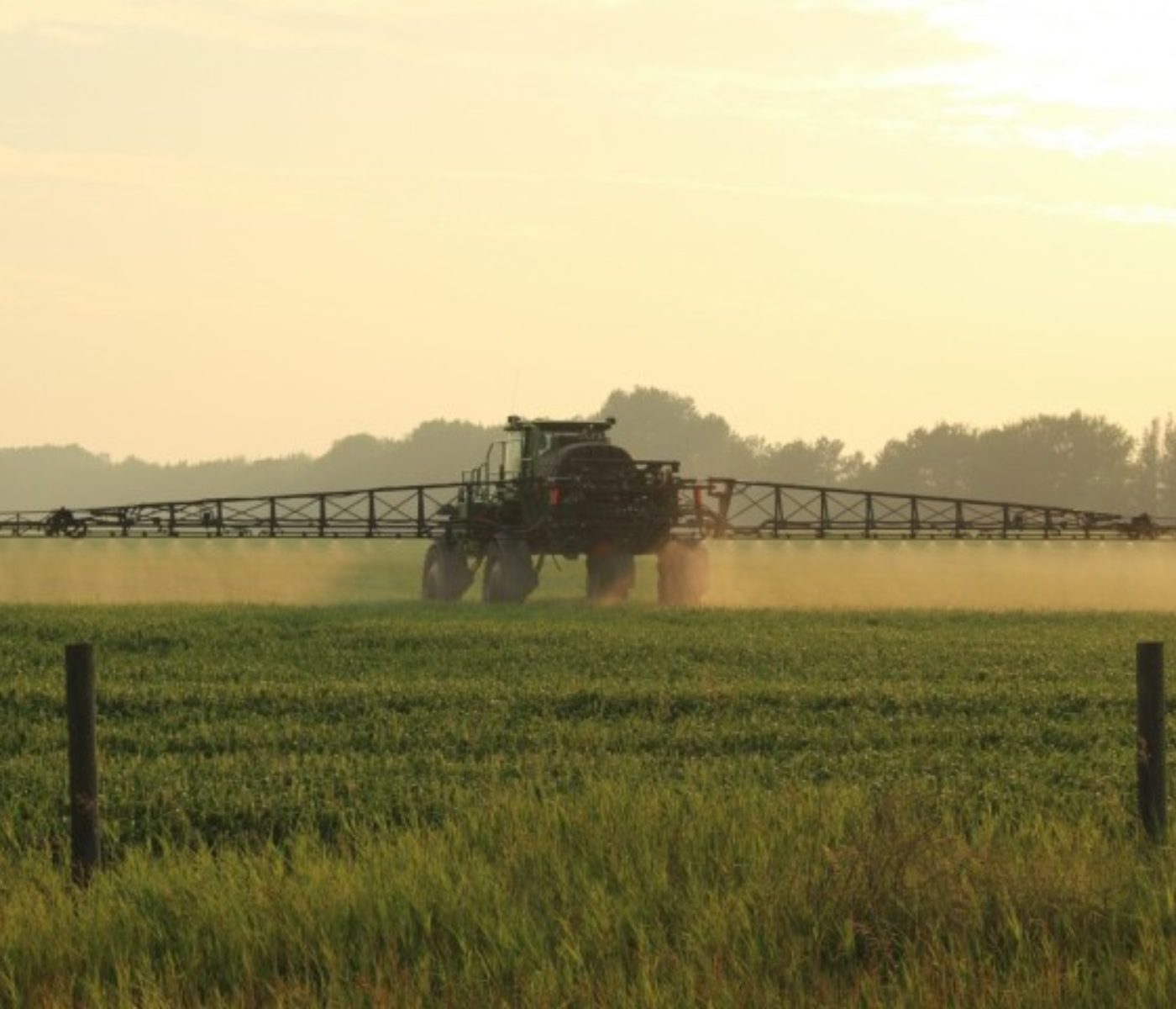 Glyphosate: European Commission Nears Decision Amid Conflicting Perspectives