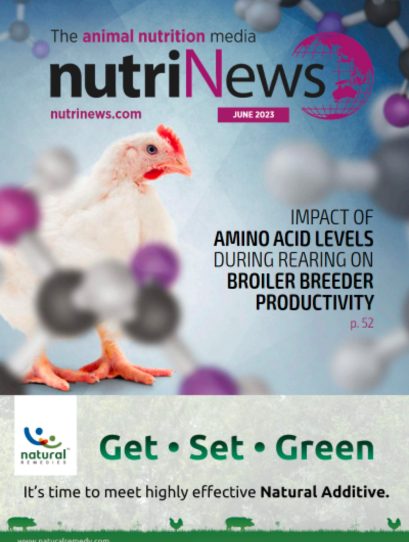 Sumario Feeding replacement pullets – Interview with Dr. Gonzalo G. Mateos