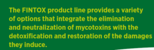 mycotoxin