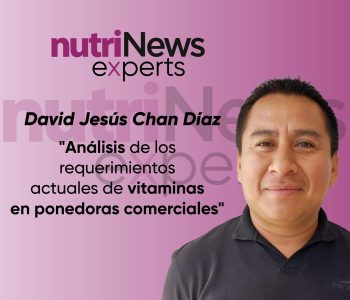 David Chan