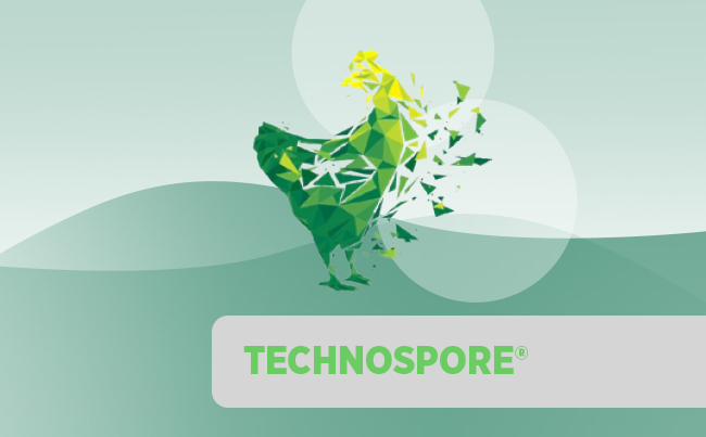 TechnoSpore<sup>®</sup>