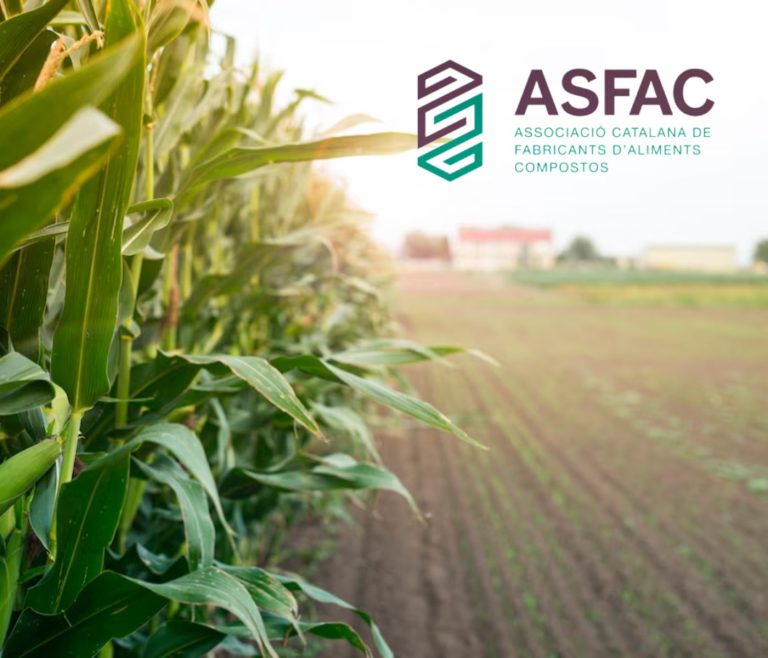 Informe materias primas ASFAC