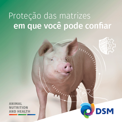 robapáginas DSM Brasil