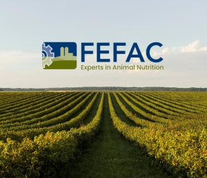 FEFAC publica «De la granja a la mesa, estadísticas sobre...