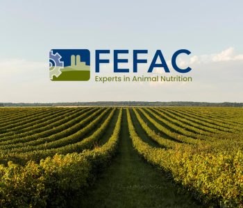 FEFAC