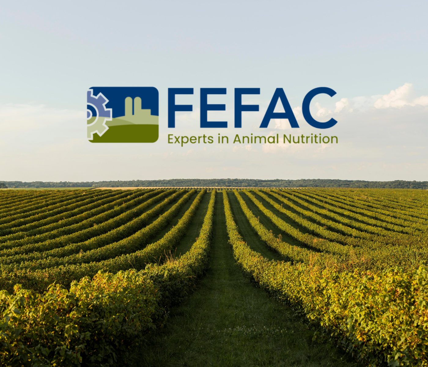 FEFAC publica «De la granja a la mesa, estadísticas sobre piensos en gráficos»