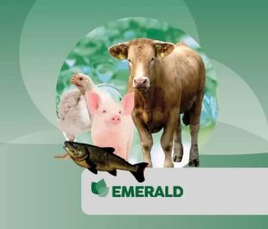Presentamos Emerald, un fitogénico activador de la salud y el...