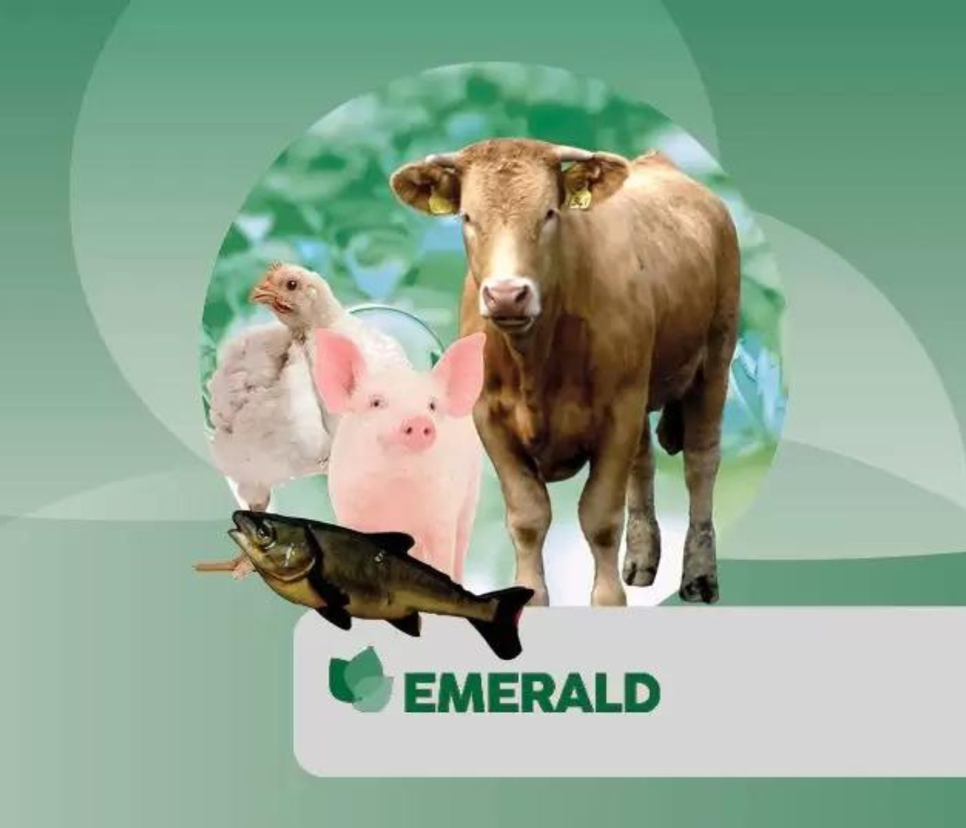 Presentamos Emerald, un fitogénico activador de la salud y el crecimiento