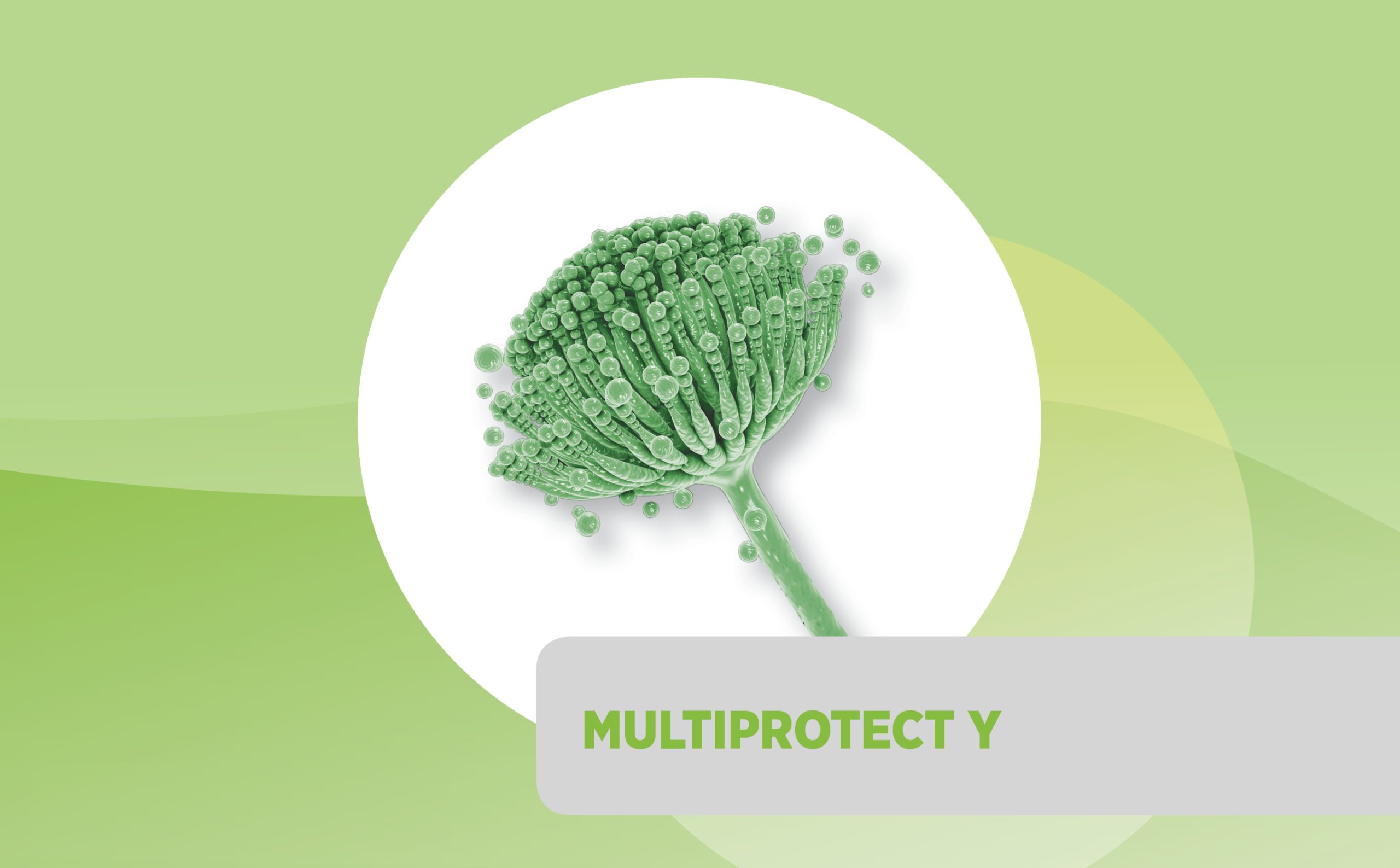 Multiprotect Y