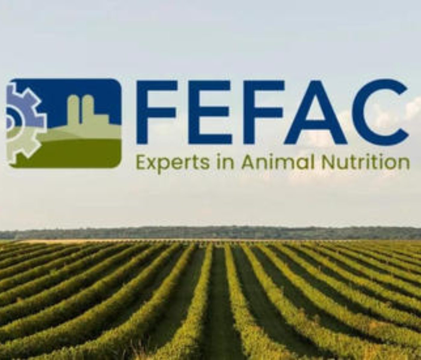 FEFAC publishes illustrated feed stats: “From Farm to Table.”